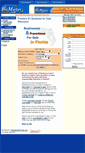Mobile Screenshot of bizmarketflorida.com